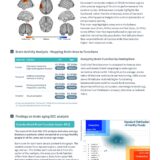 3.Summary Report EEG