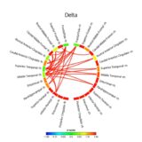 6.こよりさんのDefault Network Modeのコネクトーム